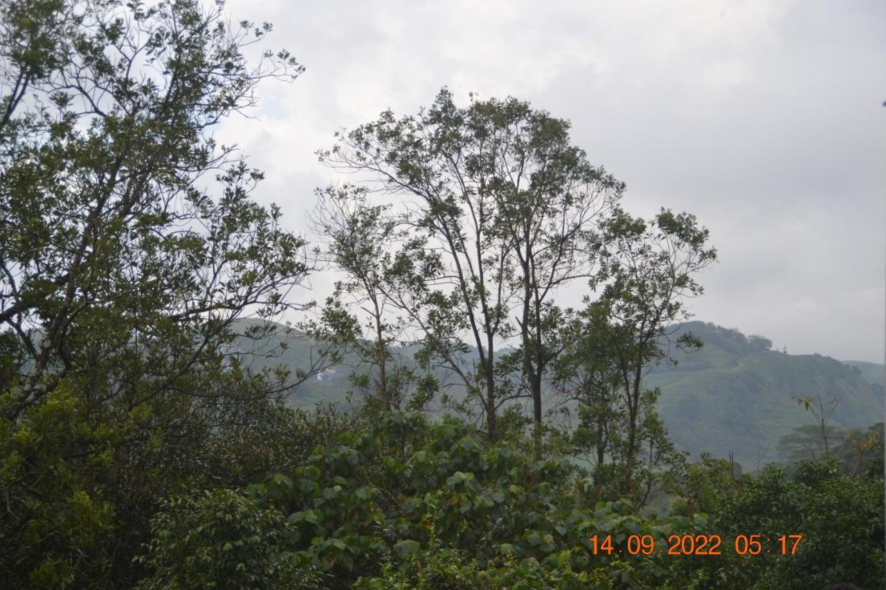 Sharon Valley Vagamon Dış mekan fotoğraf